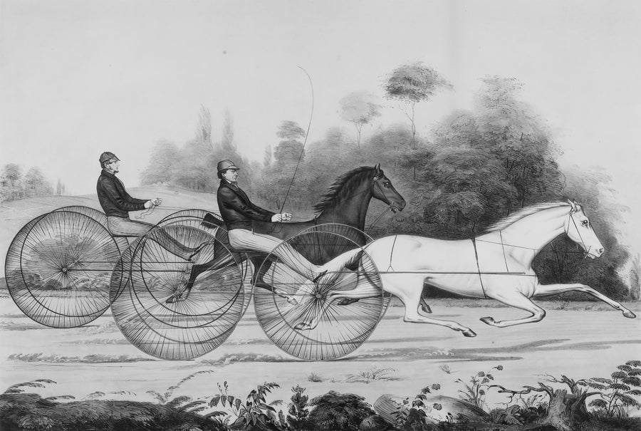 Vintage Horse Racing Black and White Wallpaper Mural