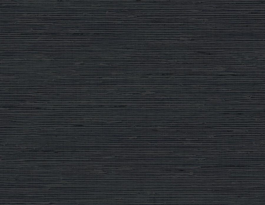 Solid dark gray color swatch