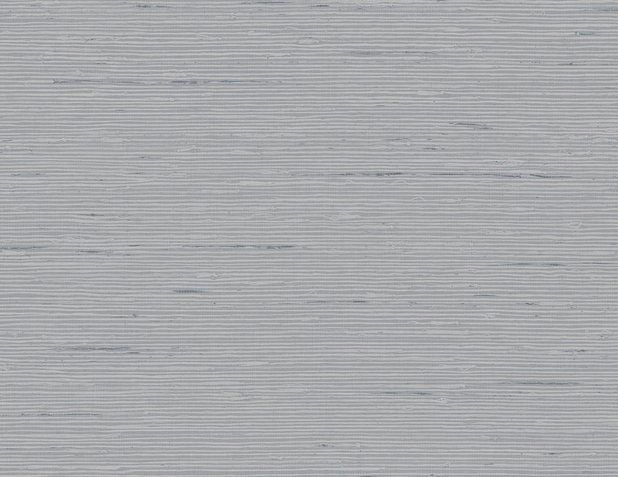 Textured gray background with horizontal lines