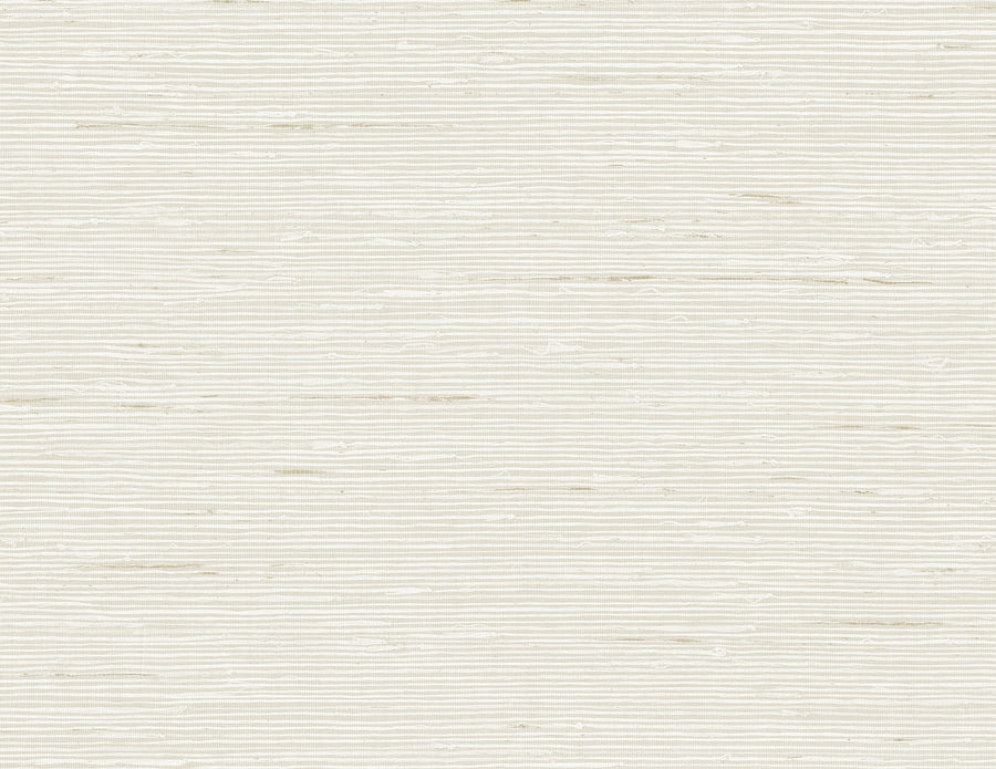 Textured white background with subtle variations