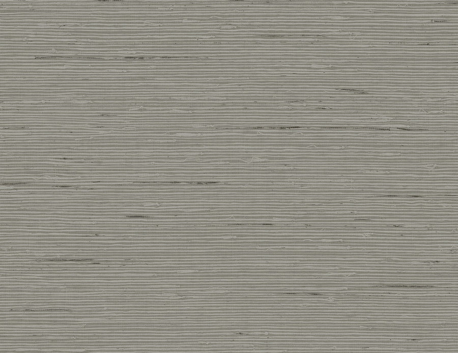 Textured gray background with horizontal lines