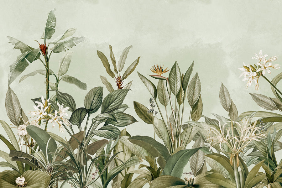 Eden Tropical Palm Wall Mural