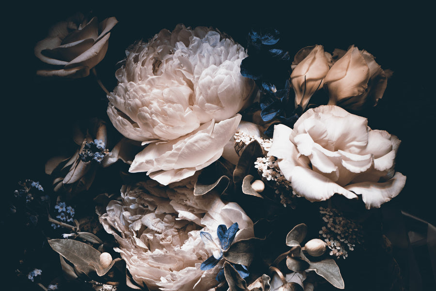 Luxury Dark Floral Wallpaper - Peony Mural Wallpaper