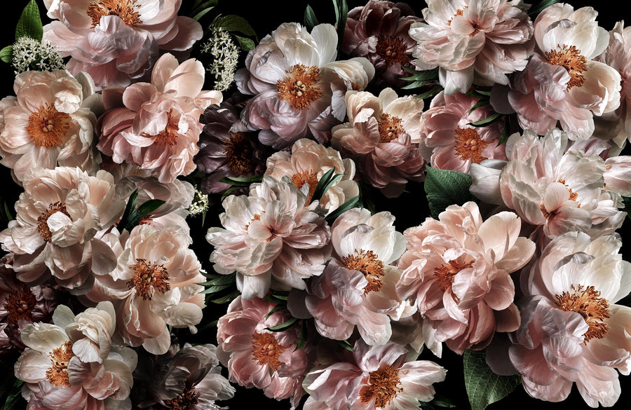 Midnight Bloom Dark Romantic Peony Wallpaper Mural