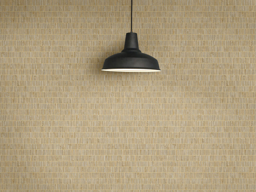 Black pendant light hanging against a textured beige wall