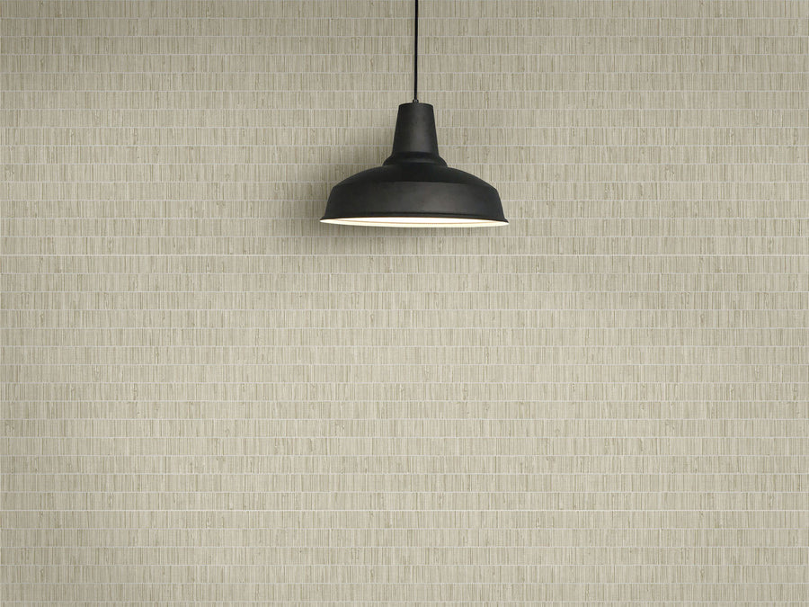 Black pendant light hanging against a textured beige wall