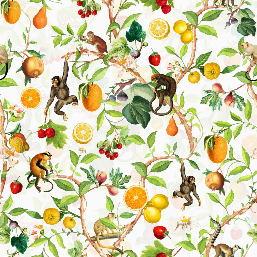 Tropical Monkey Jungle Wallpaper – Fruit & Botanical Pattern