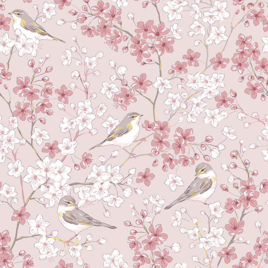 Willow Warbler Bird in Spring Sakura Cherry Blossom Garden Wallpaper