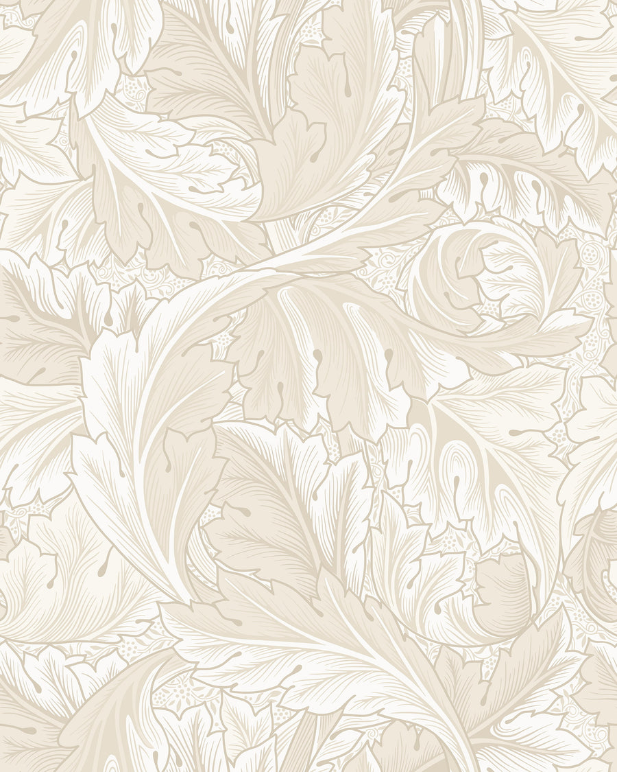 Beige Acanthus William Morris wallpaper pattern with scrolling leaves in beige and cream