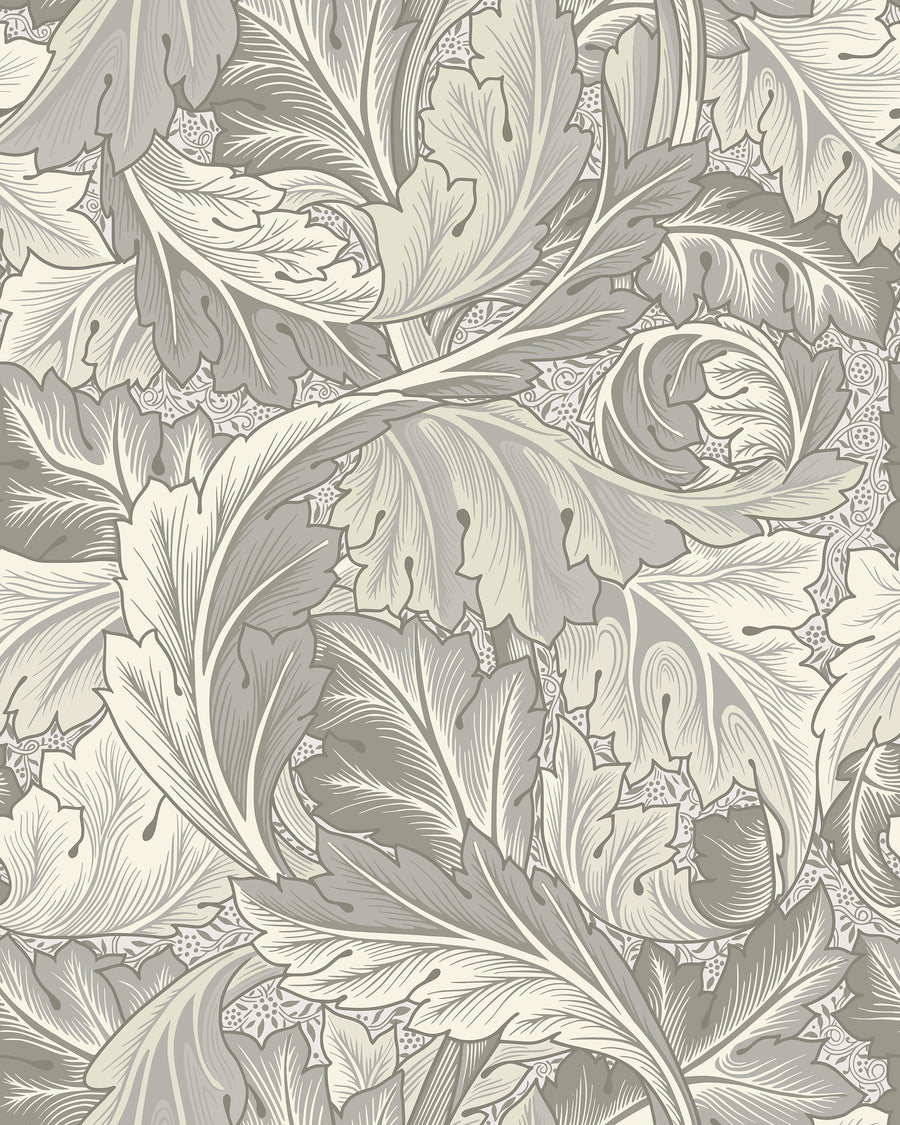 Gray Acanthus William Morris wallpaper pattern with scrolling leaves in gray and cream