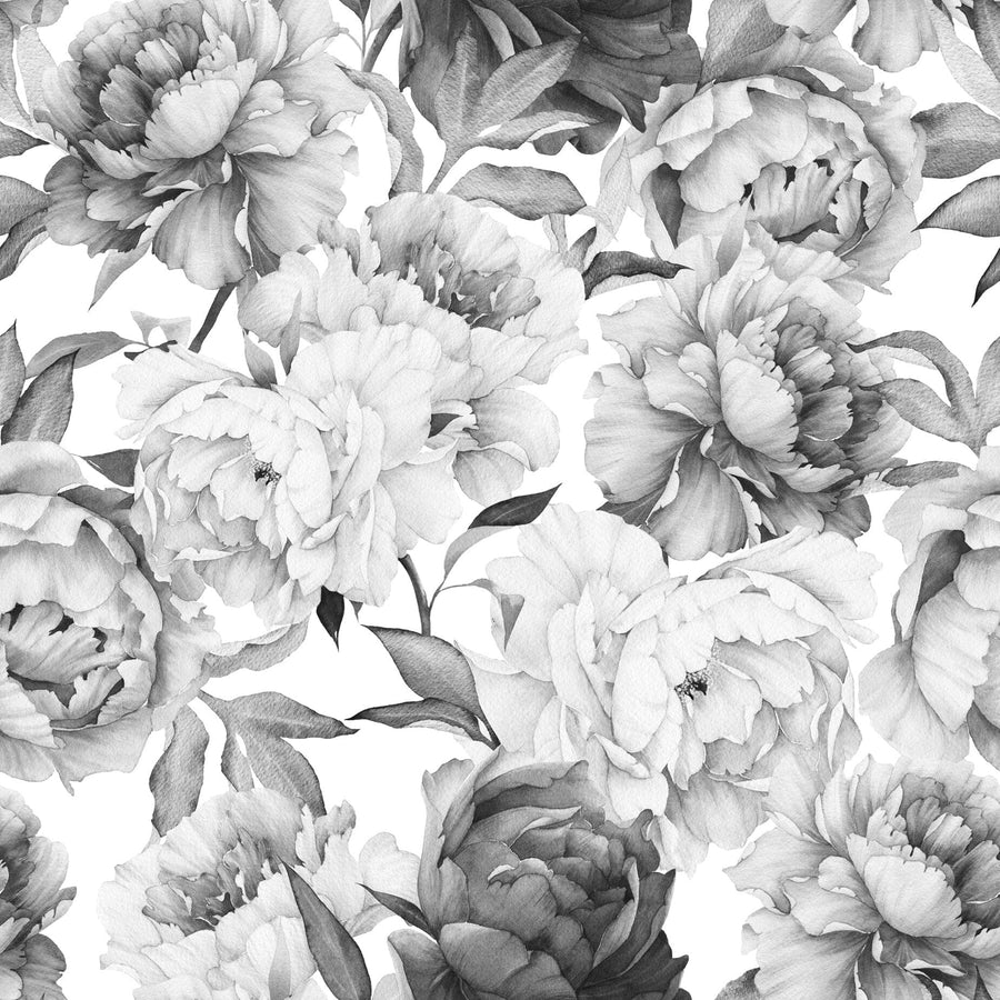 Peony Wallpaper Black and White Removable Wallpaper EazzyWalls Sample: 6"W x 9"H Canvas
