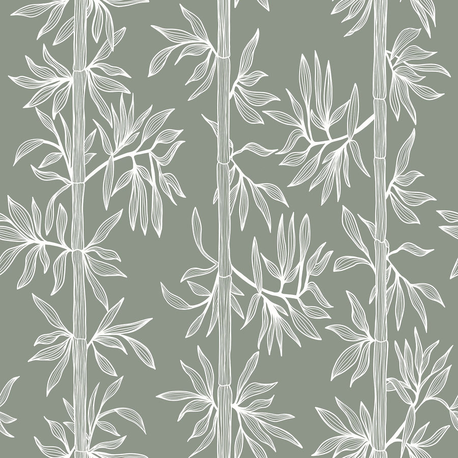 Bamboo Breeze Wallpaper - Peel and Stick Modern Botanical