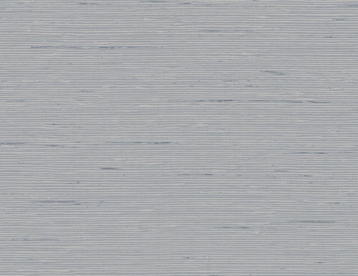 Textured gray background with horizontal lines