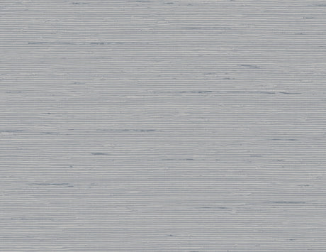 Textured gray background with horizontal lines