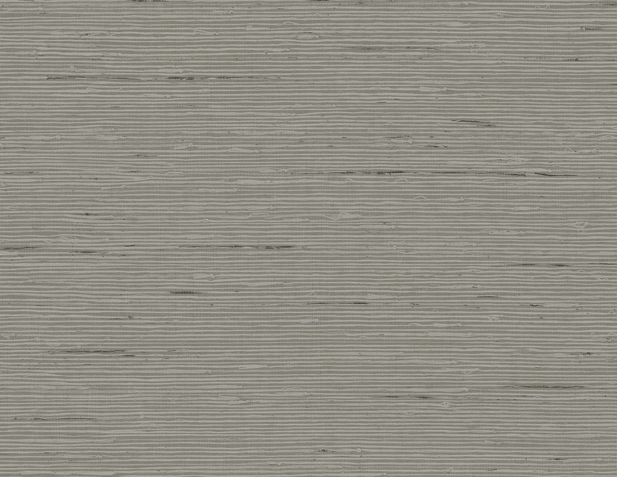 Textured gray background with horizontal lines