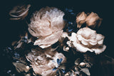 Luxury Dark Floral Wallpaper - Peony Mural Wallpaper