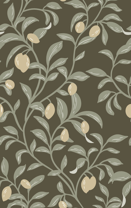 Olive Tree Wallpaper – Mediterranean Chic Style