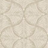 Fan Palm Wallpaper | Tropical Elegance