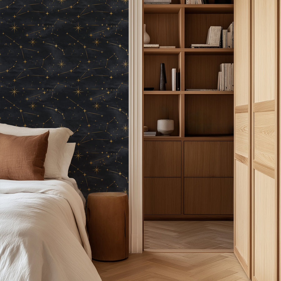 Starry Night Sky Galaxy Peel and Stick Wallpaper Mural Peel and stick Wallpaper 