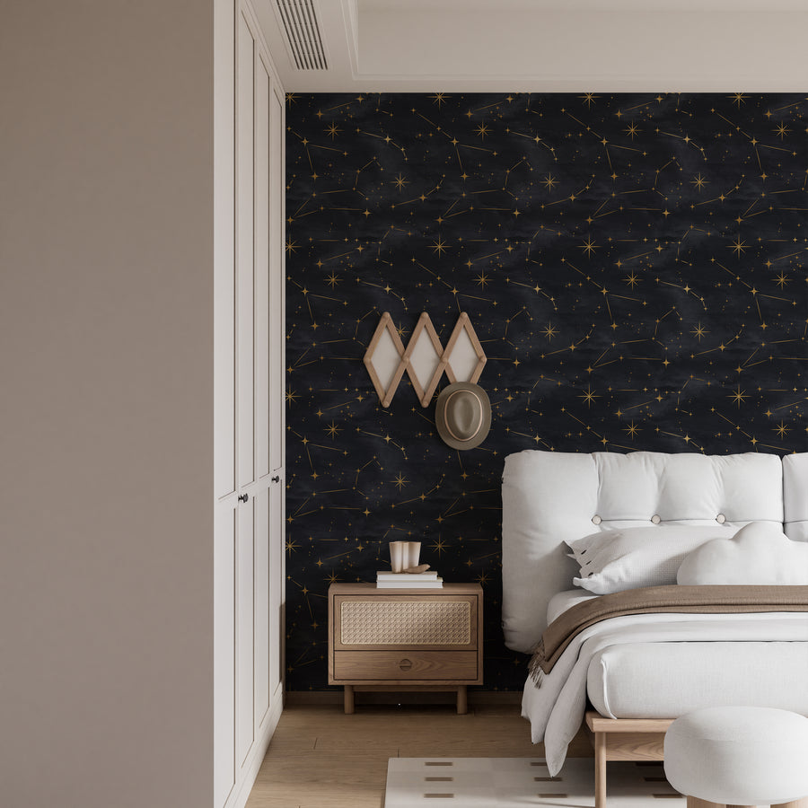 Starry Night Sky Galaxy Peel and Stick Wallpaper Mural Peel and stick Wallpaper 