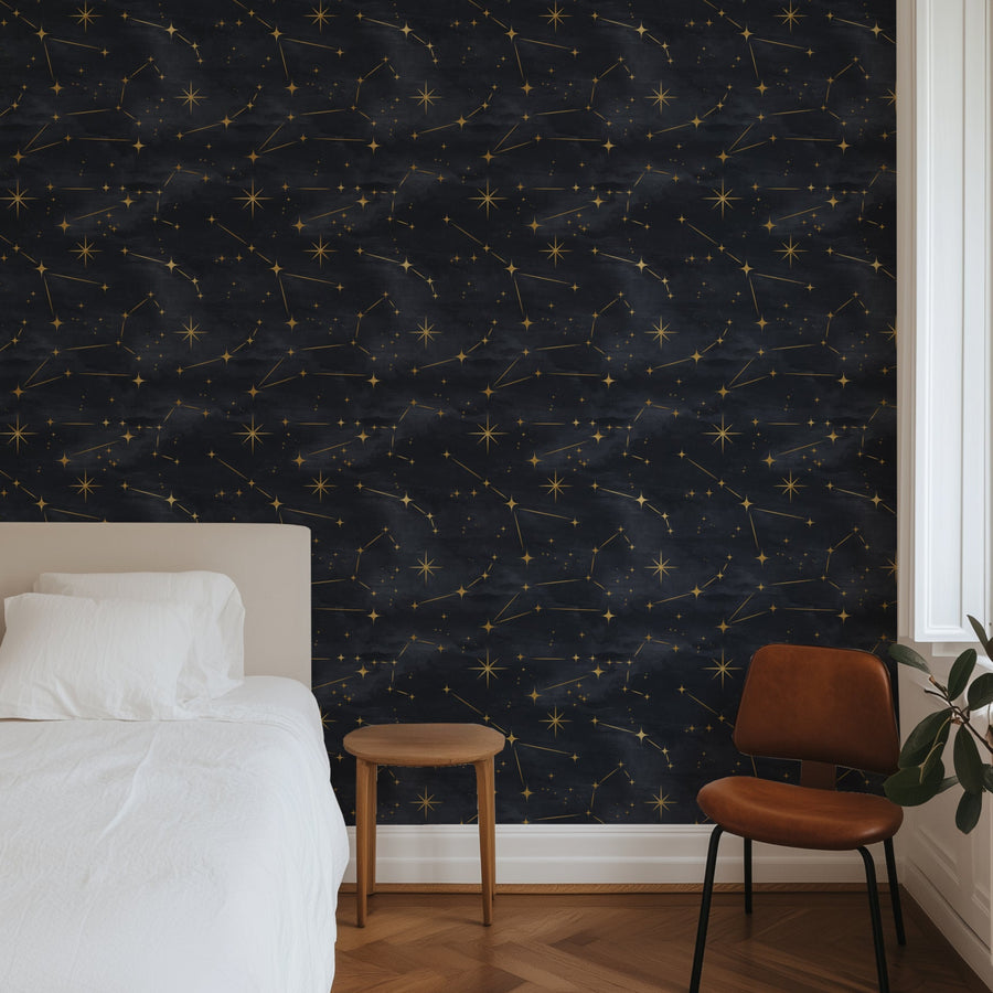 Starry Night Sky Galaxy Peel and Stick Wallpaper Mural Peel and stick Wallpaper 