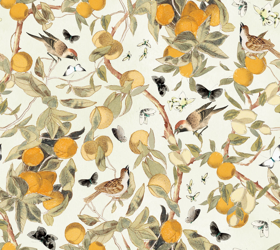 Vintage Citrus Wallpaper – Orange Tree, Birds & Butterflies