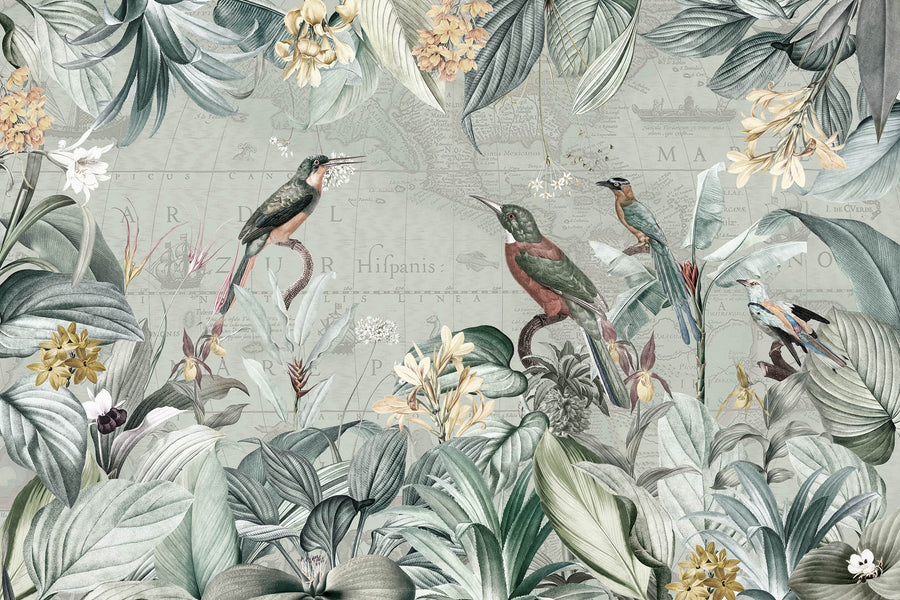 Vintage Tropical Map Wall Mural with Birds & Botanicals