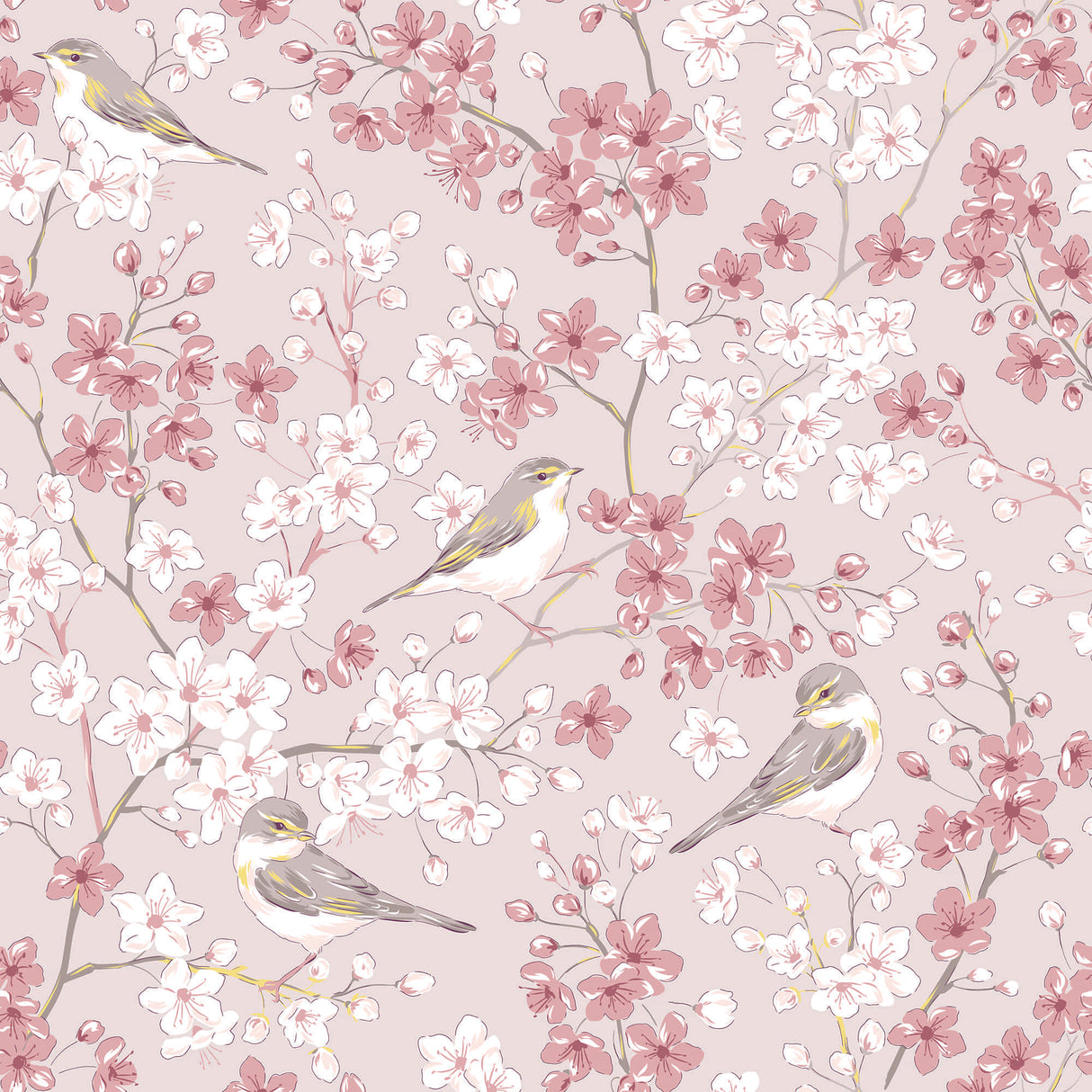Willow Warbler Bird in Spring Sakura Cherry Blossom Garden Wallpaper