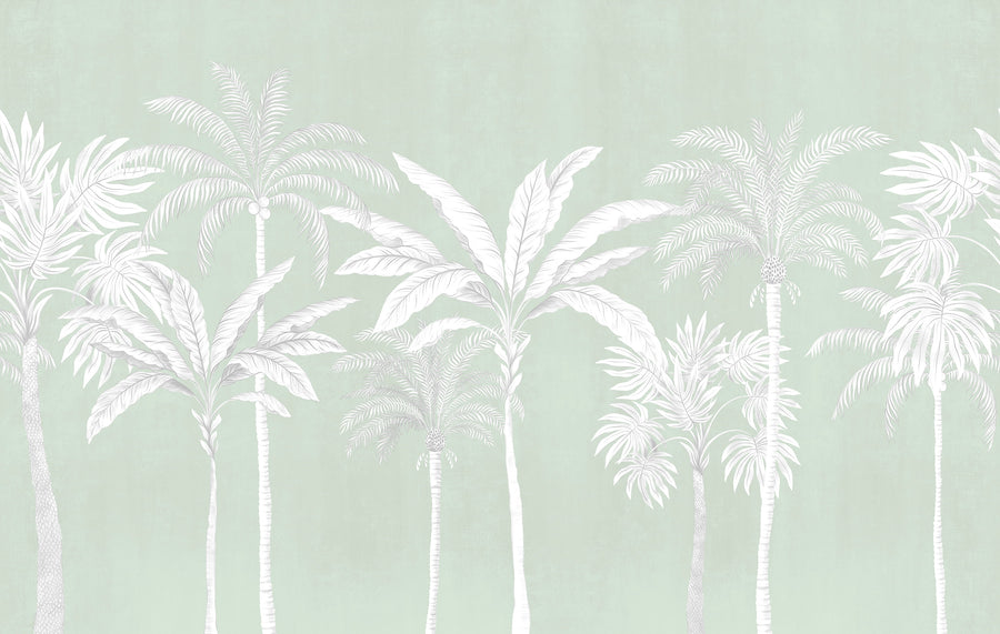 Sage green palm tree wallpaper mural with tall white tropical palms and fronds