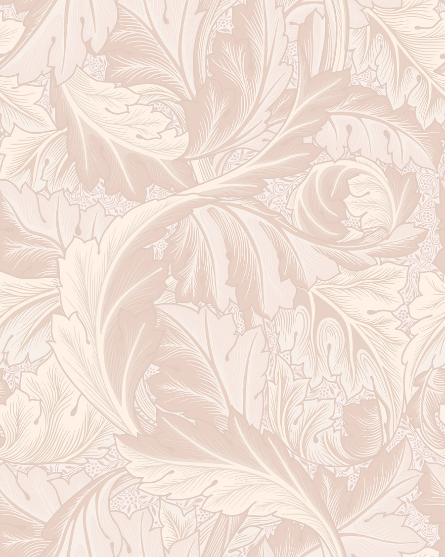Blush pink Acanthus William Morris wallpaper pattern with scrolling leaves in pink and cream