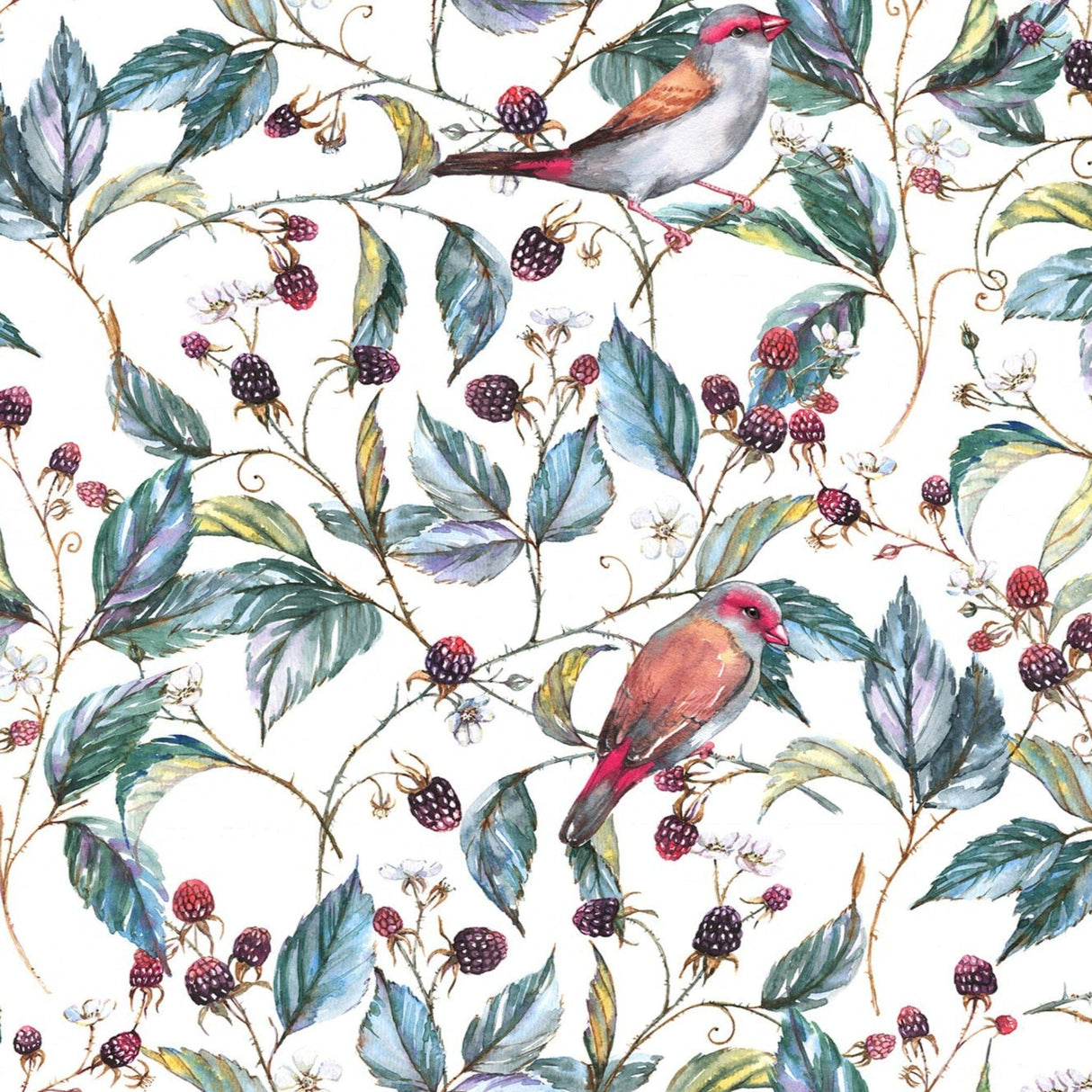 Wild berries and Birds Wallpaper Removable Wallpaper EazzyWalls 