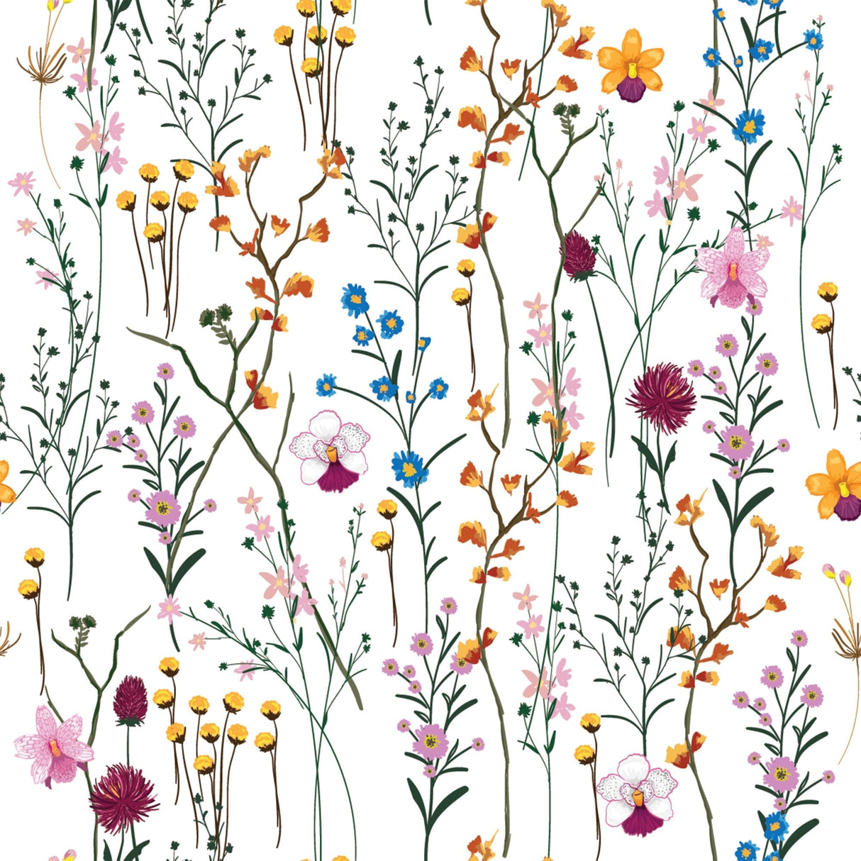 Colorful Wildflowers Herbarium Wallpaper Removable Wallpaper EazzyWalls