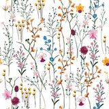 Colorful Wildflowers Herbarium Wallpaper Removable Wallpaper EazzyWalls