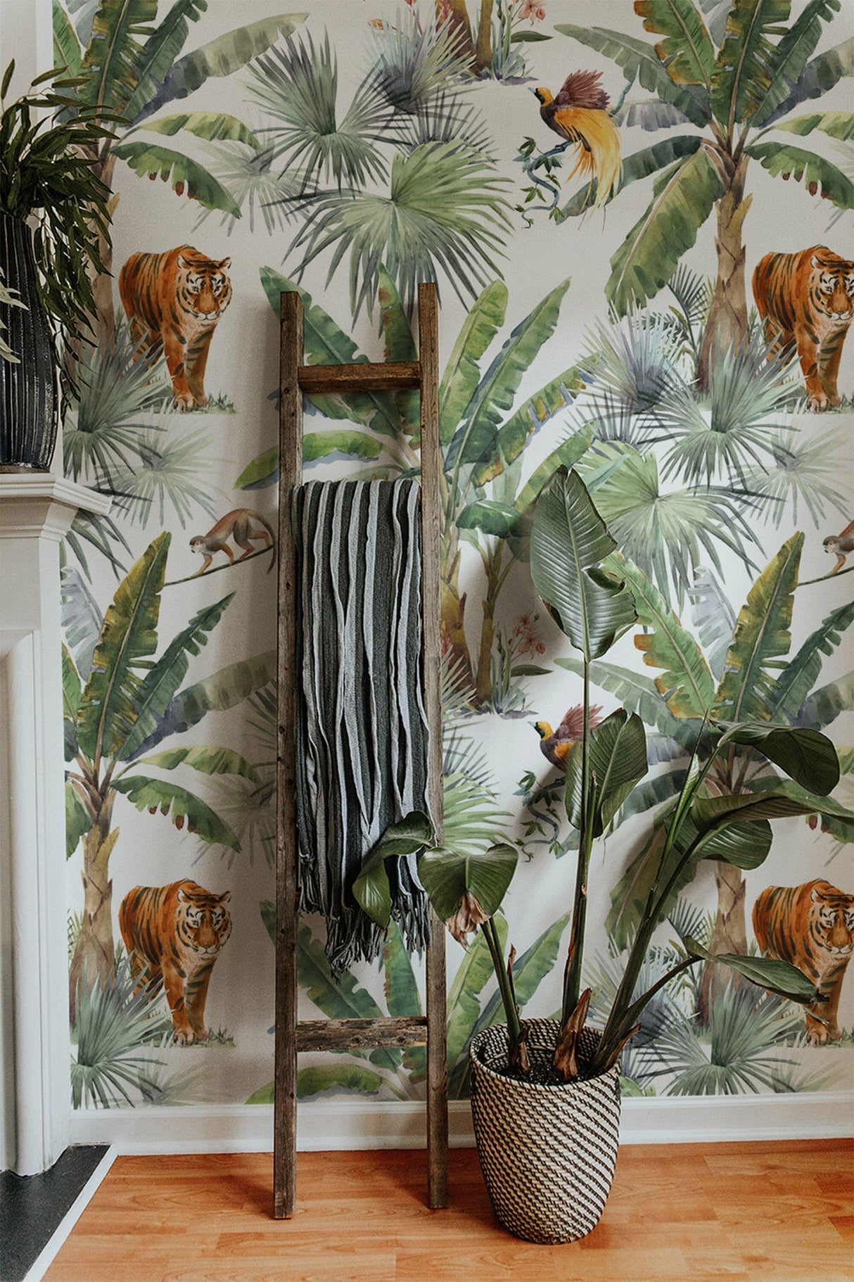 Tiger Wallpaper Peel and Stick - Tropical Palm Tree Wallpaper EazzyWalls 