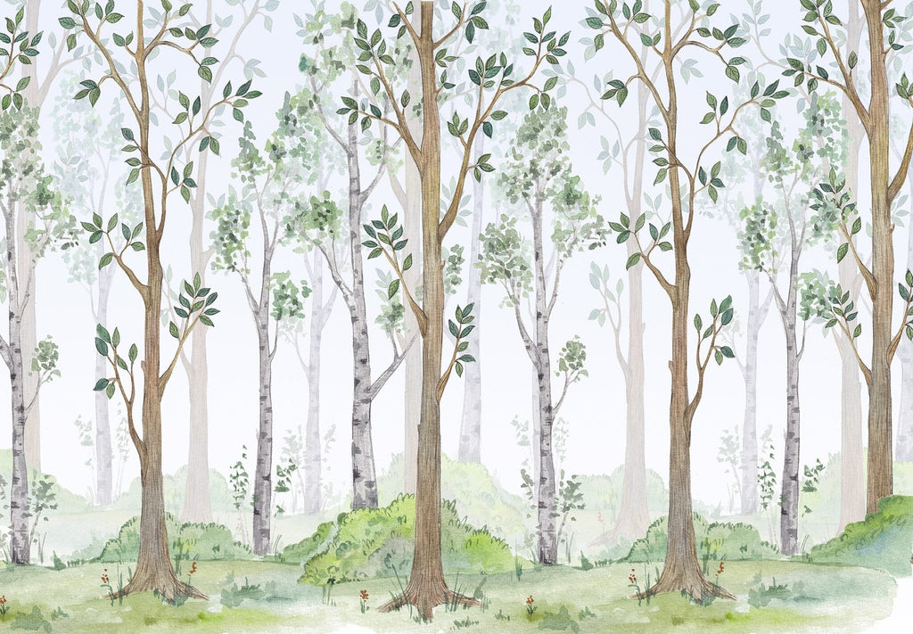 Birch Forest Watercolor Wallpaper Removable Wallpaper EazzyWalls 