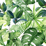 Tropical Print Wallpaper Peel and stick Wallpaper EazzyWalls Sample: 6''W x 9''H Smooth Vinyl 