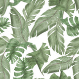 Large Print Tropical Wallpaper Removable Wallpaper EazzyWalls 