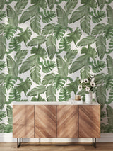 Large Print Tropical Wallpaper Removable Wallpaper EazzyWalls 